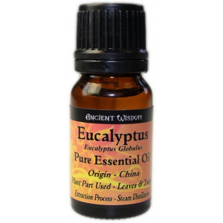 Oli Essencial Eucaliptus, 10 ml