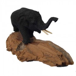 Elefante sobre tronco